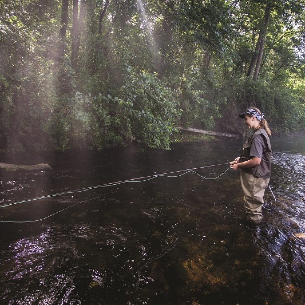 woman fly fishing
