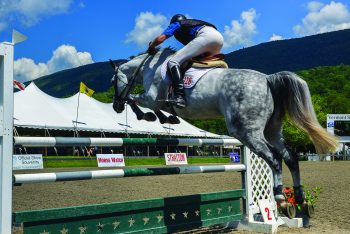 vermont summer festival horse show